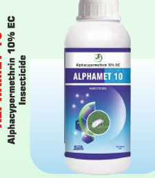 ALPHAMET 10